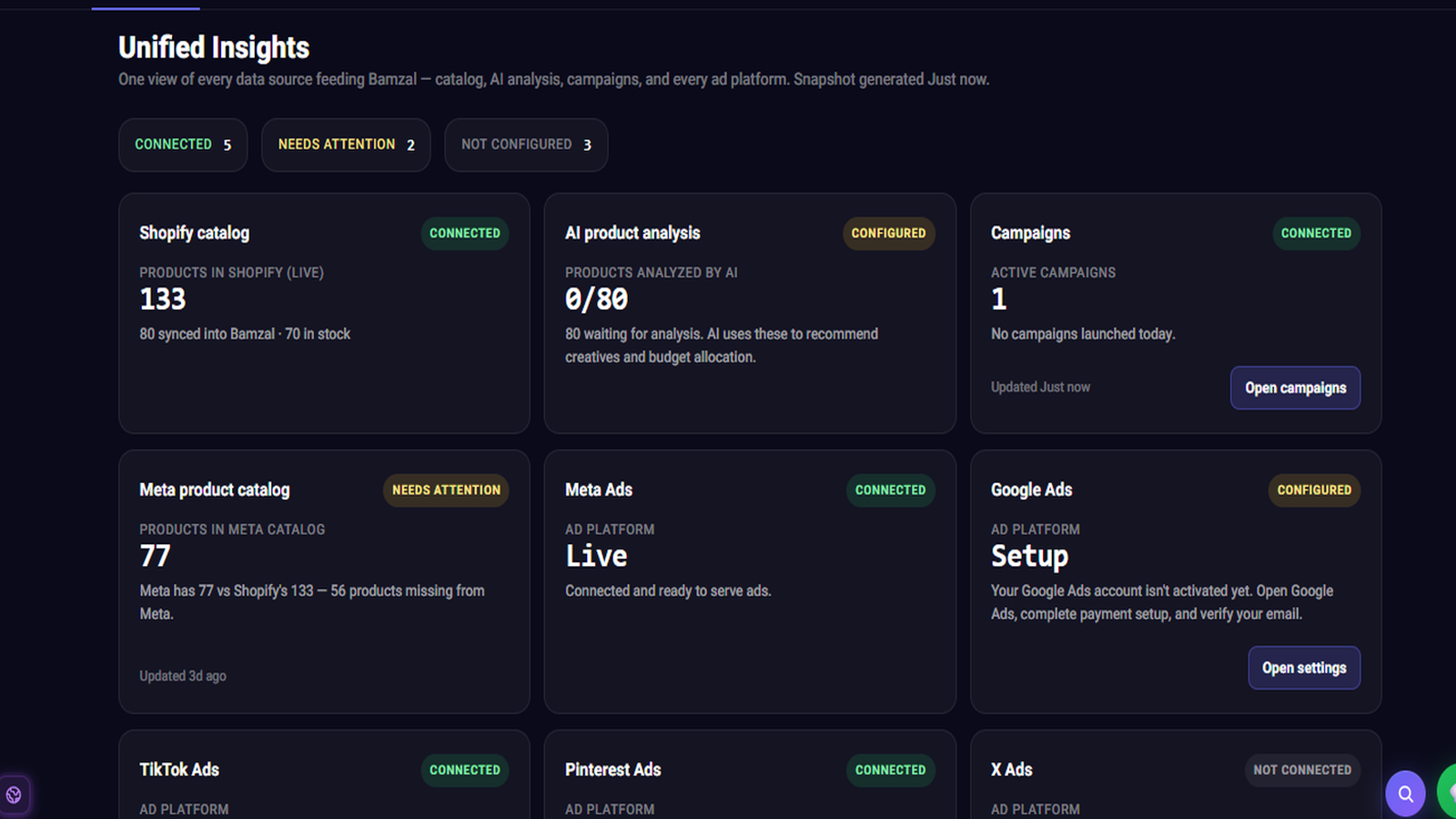 Bamzal growth advisor — store analysis, pricing, retention, catalog and ad channels in one view